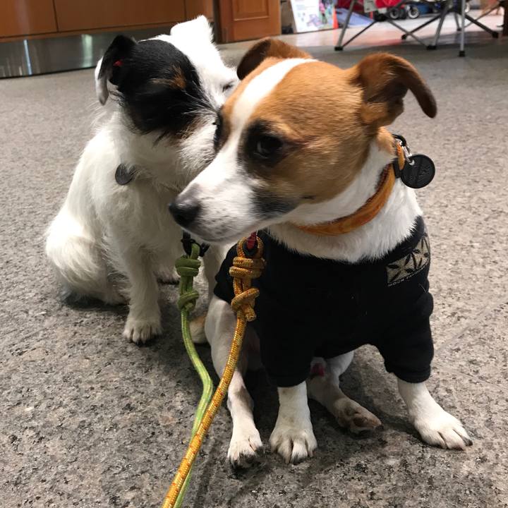 437fceb8 b596 4943 b687 088a9718a189