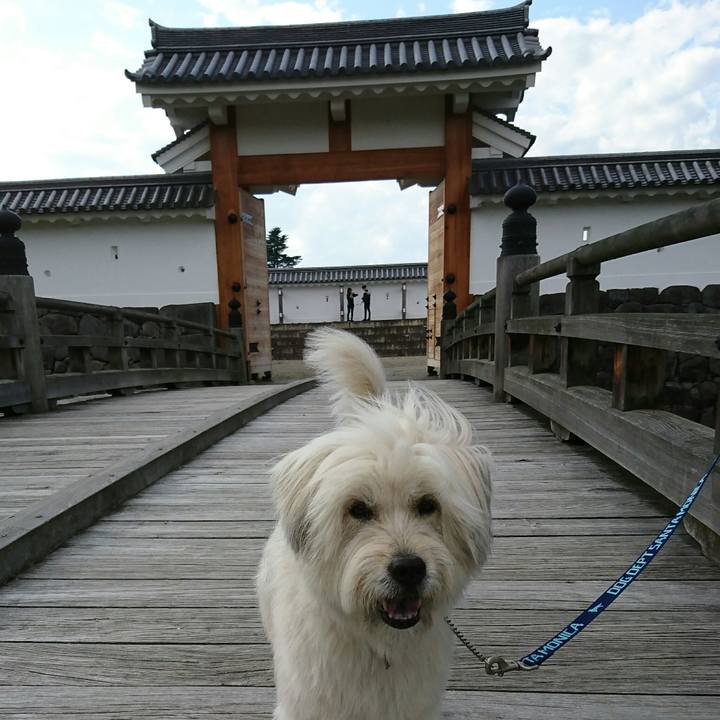 437fec5e 01b2 4626 b9a1 0e549f5a75a6