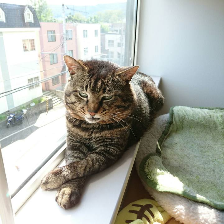 43809063 e369 4340 99e8 c54f7981ea67