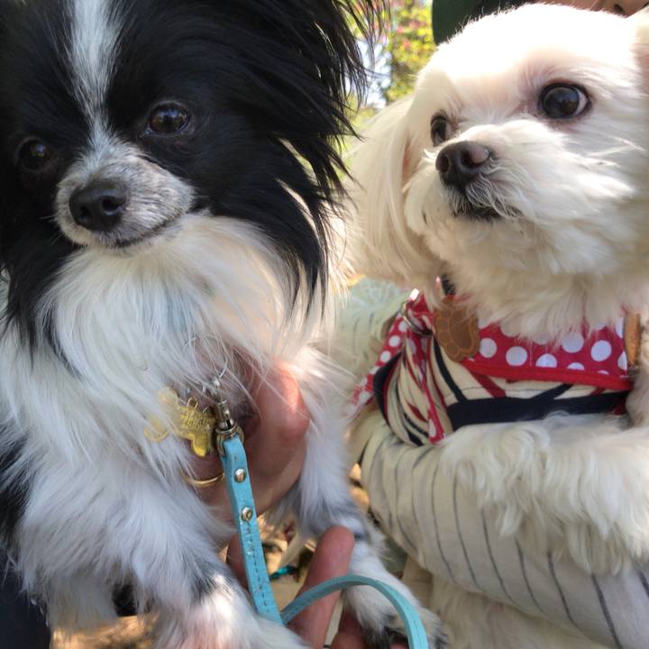 4380d422 a2d6 4a32 b288 502663140d1c