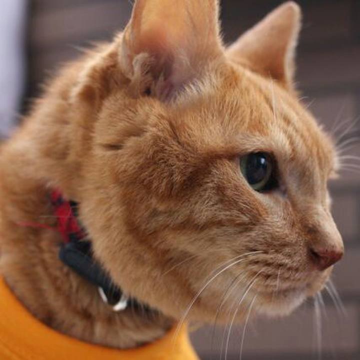 43817a59 bd06 4273 8d68 f24815b5547f