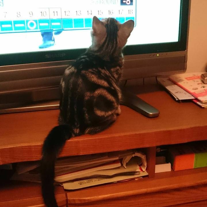 4381975e 207b 465b 96c6 245dbb64dda9