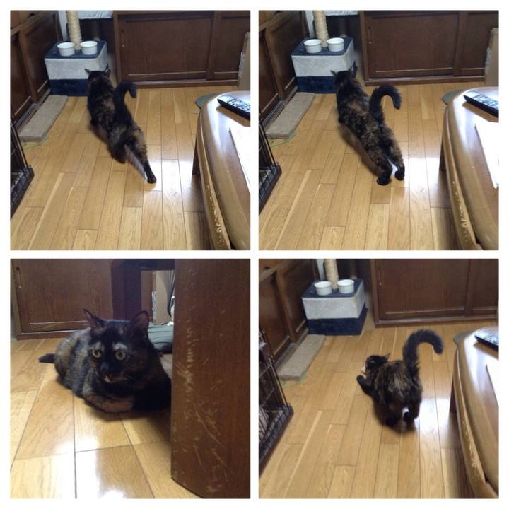 4381d4f7 f402 432c 864e a116e07ed361