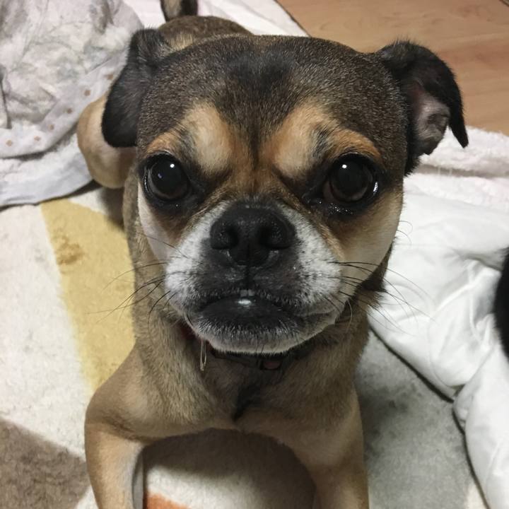 4382d843 ab14 4978 955f 2c2fd005afb5