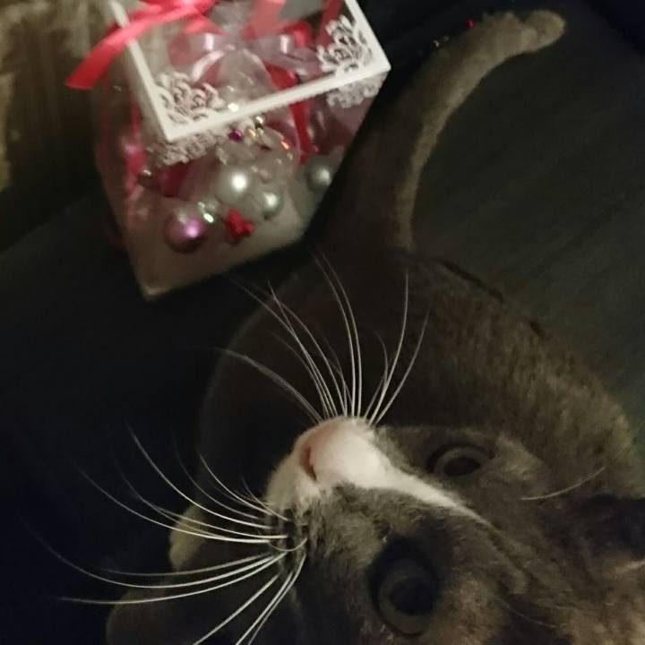 43834107 357f 4896 a0d4 d002ec1a8180