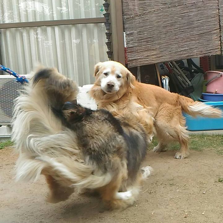 438347bd aaed 4f54 8434 143ae57779ab