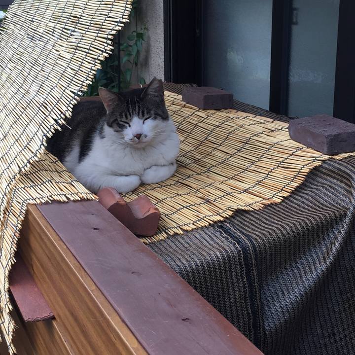 43834bd5 a562 4c2b bc77 7eb66b8b21b1