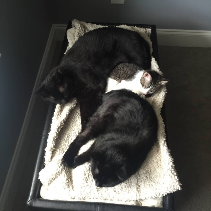 43834cf3 5239 49a4 aa80 bd6eb09eeae8