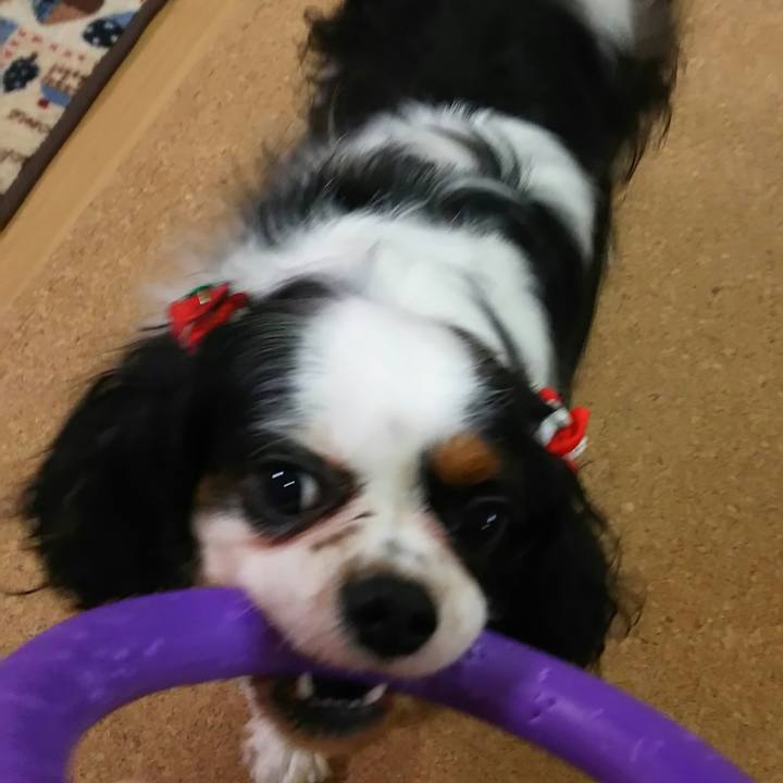 43834e7b 2b6b 4927 9e8c 80df97b84f56