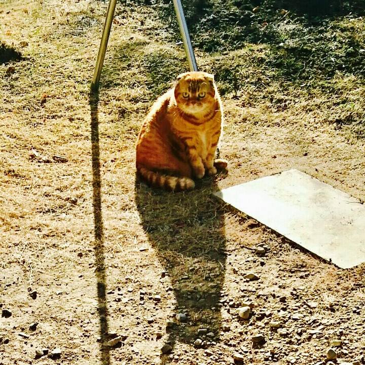 438354fd 665a 405d a647 232a47a6b55c