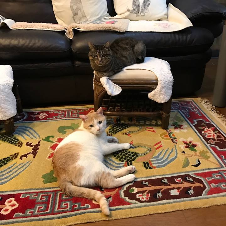 4383dfdf b7e7 489b bfbf b4c11960c6a4