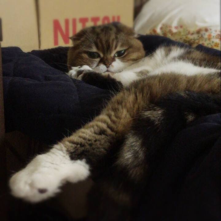 4383f717 a656 4a2e 871f 747063aa064b