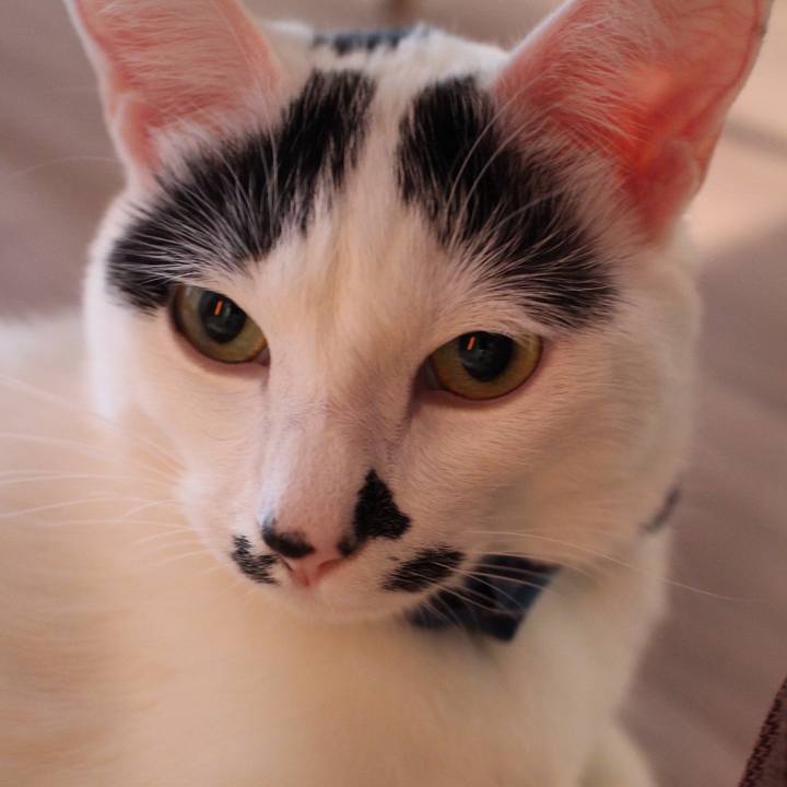 43843c25 8af9 4f0b 951b 83a741766640