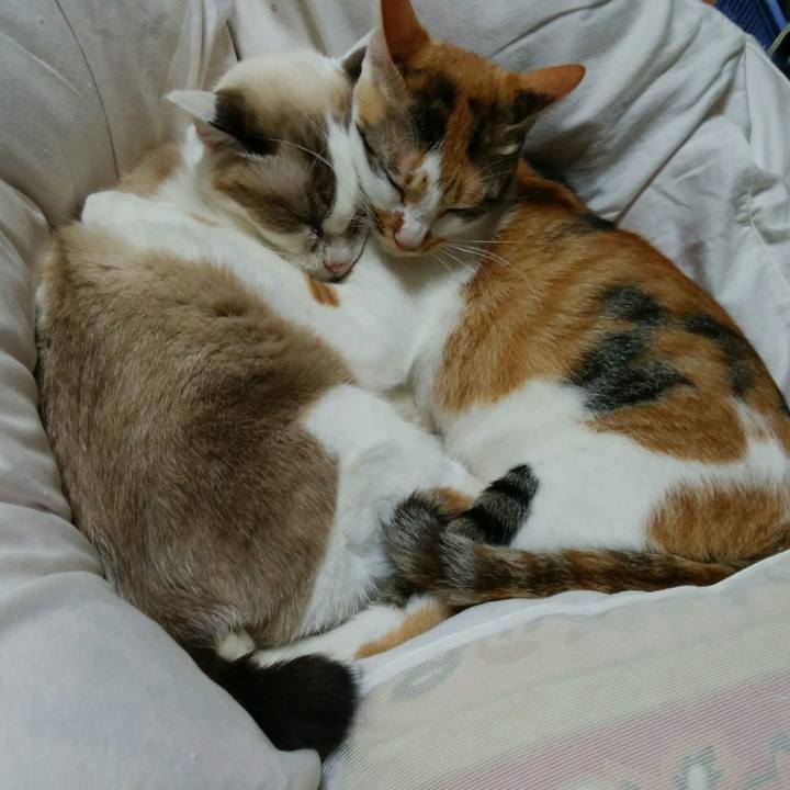 4384557f fd88 40b7 b1fb 969c2354360a