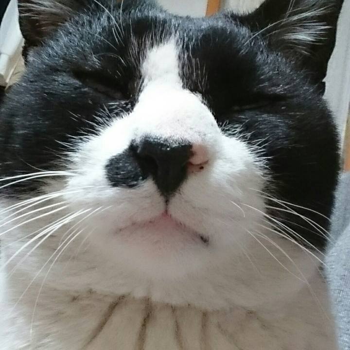 4384ca53 0f6d 44c2 b876 872a8daa6ddb