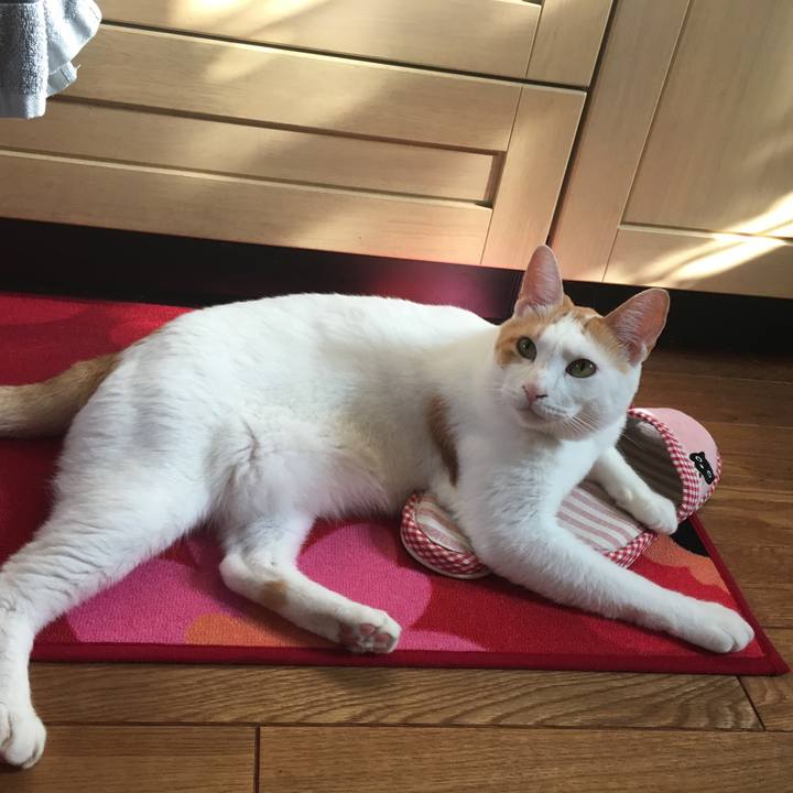 4384fc71 da76 432e bb79 e2165f3a8e21