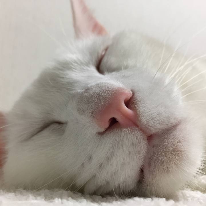 43850b31 d2e6 479e 921d a657d8dc4ce5