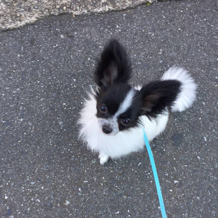 438774a8 8b48 4052 a0a9 d6dbc8866680