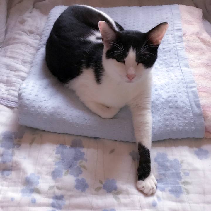 4388da79 2e91 458d 8f28 544977cd44a0