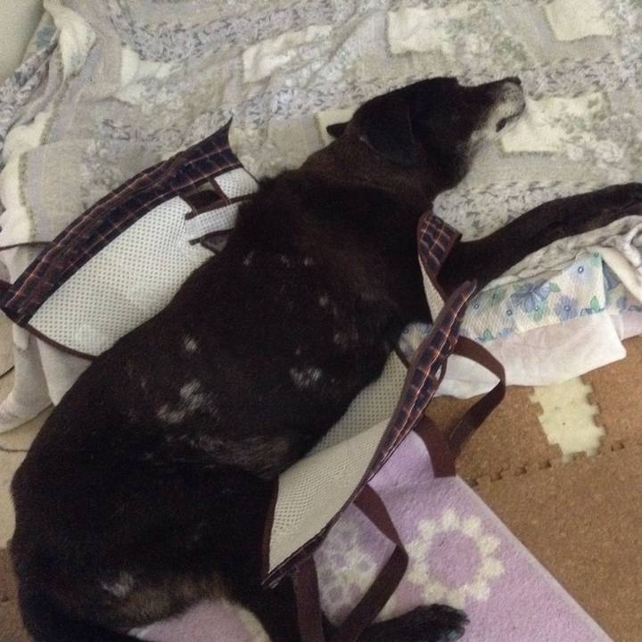 4389ba96 bc7f 4f73 99fc 3a4508d2a0ec