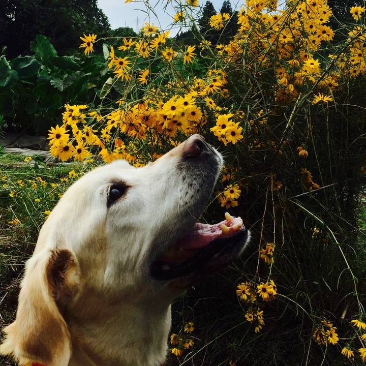 4389c091 e3e9 4ff0 8b0c 8bf319deaea6