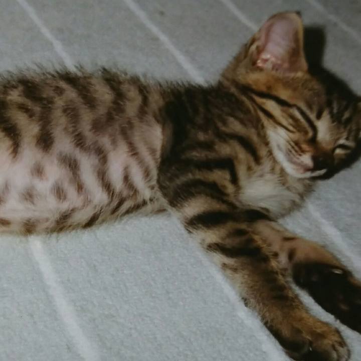 438a7afd d1d2 4926 b2a7 1f704112cddc