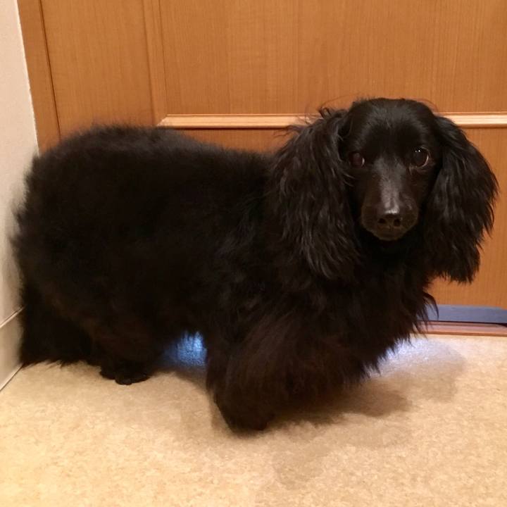 438aa359 f299 4e56 b635 13927aebf118