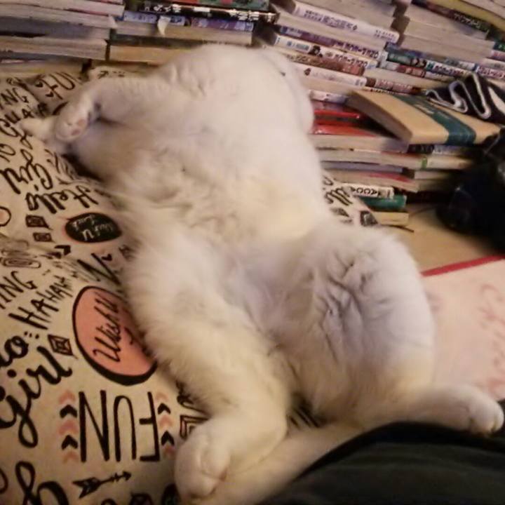 438aba7a 7f2b 40a3 b97a f8cbf606f739