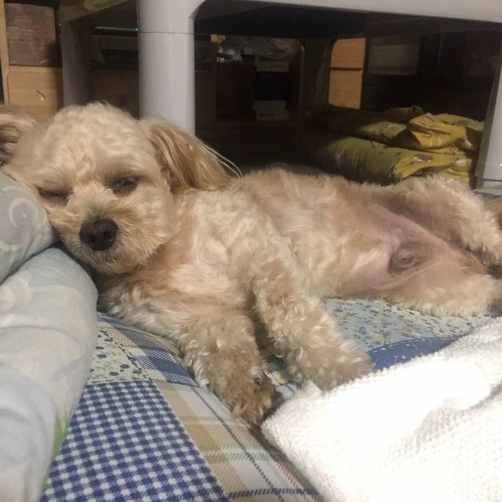 438ac429 8a05 4827 91ca 0192bcbab3a6