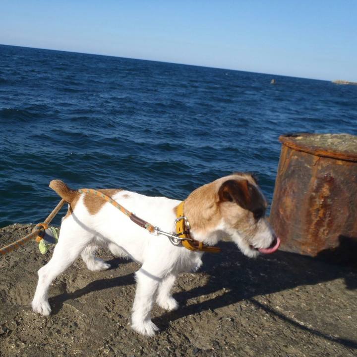 438aff52 795f 4541 9b54 0afef76bbec9