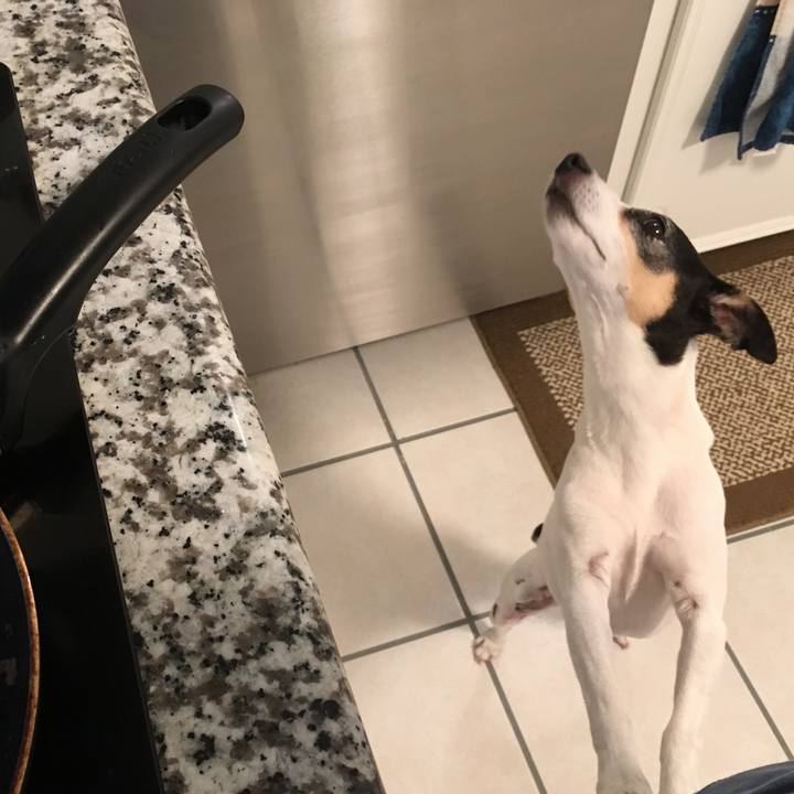 438d99d3 8774 4b14 a9d5 444346626ed1