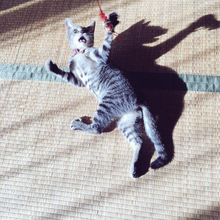 438dc817 dc52 48c6 912c 07d2a0dc9367