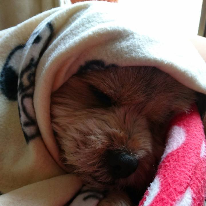 438e4c7d b7ee 4228 9c12 14aace717a8b