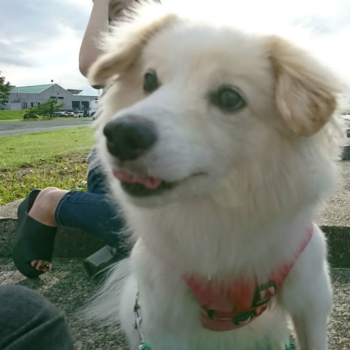 438e7984 9a94 46ce ae51 615a9280db69