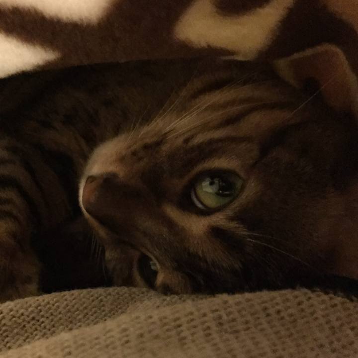 438ea082 f11e 40da 8cd8 7c6213881388