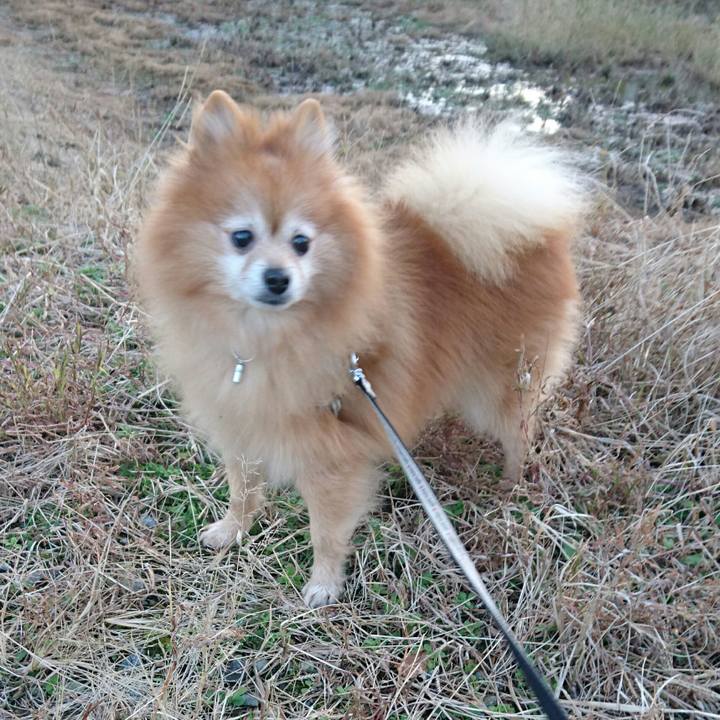 438edd89 5b4a 47ac b157 b97b32004b05