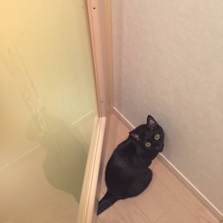 438f7a94 d42a 462a a0b1 21130375855b