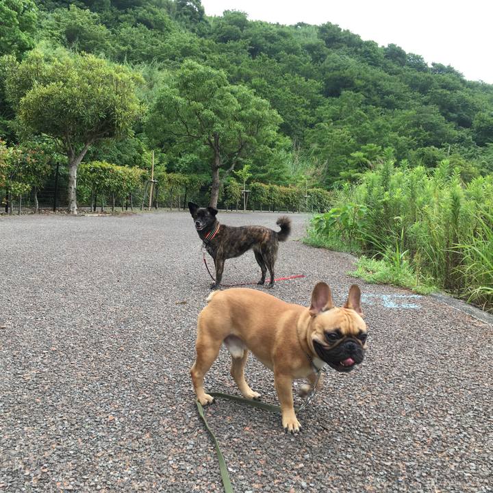 438f89c3 5e8a 4877 9744 420558bfa4a0