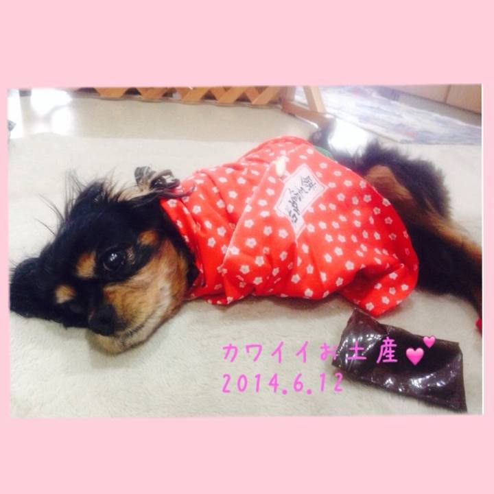 438fc7be 0e1b 48ef 820a 10760cbc9fb5