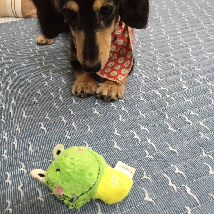 43900d79 61c2 4aca b5bc 2cbe92bff860