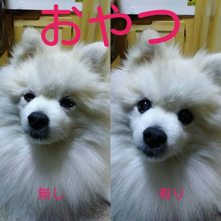 4390ec9d 3225 436e a137 06c038057be7