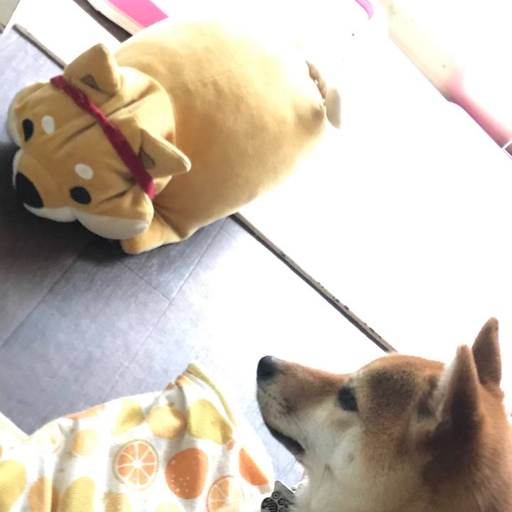 43912c1a d211 4ed6 946f 002e88378f11