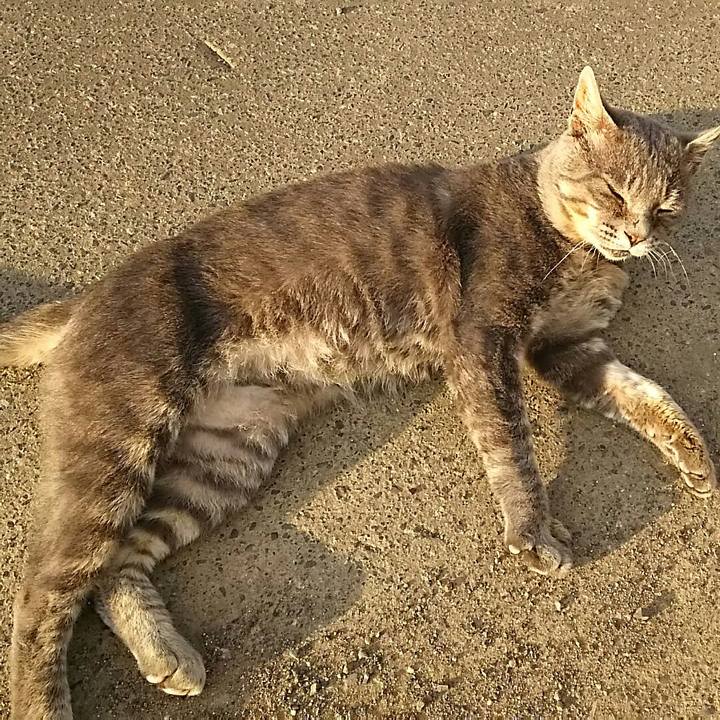 43912fa7 b07d 476f 95fd 794c2d3d917d