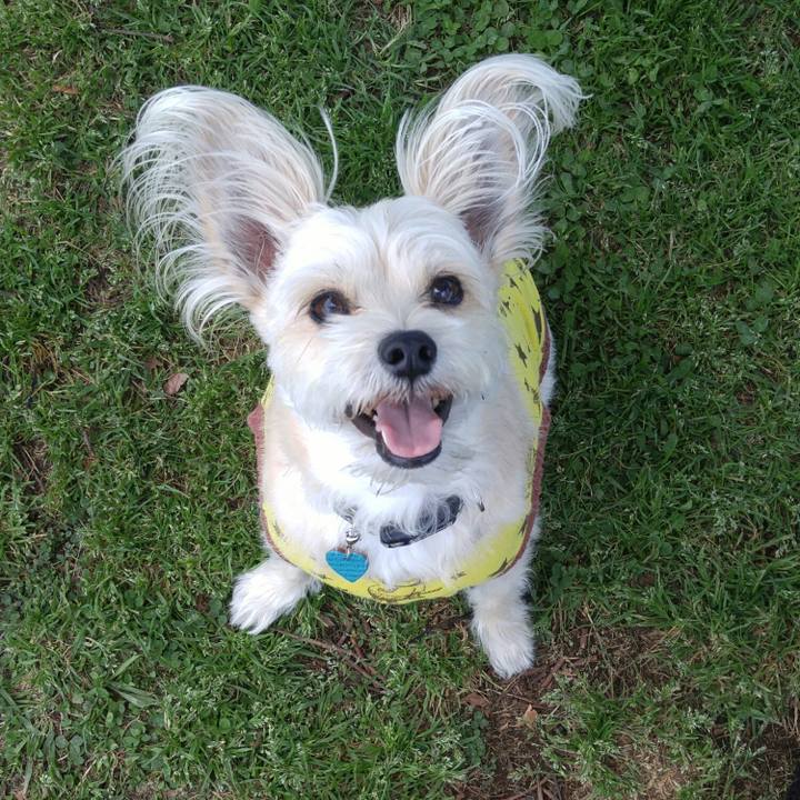 43914c51 7b7f 41ad 8558 1416a774b32c