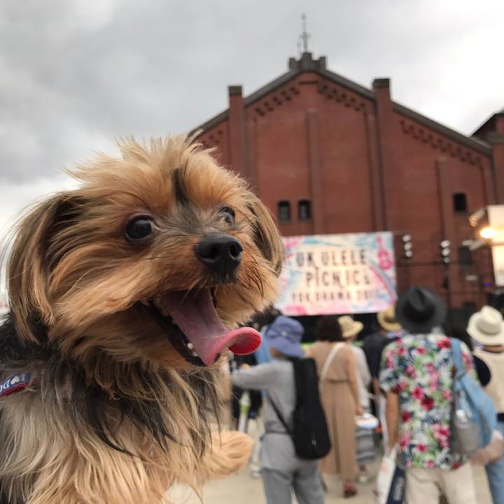 43918972 2809 4307 9a58 36892c65658f