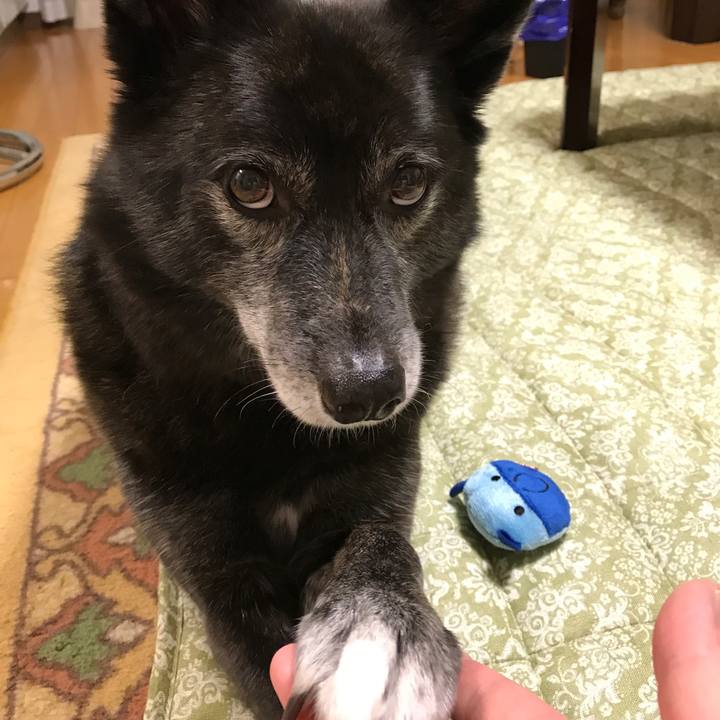 4391c038 c4c5 49eb bbe6 e986e1a9e2e3