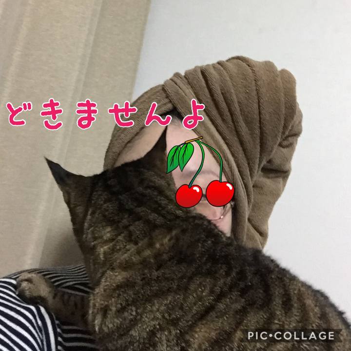 43922d7b 0459 4801 ada8 070a49766511