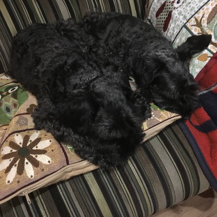 43922e4b 4498 4bec bca7 d25b682b55e4