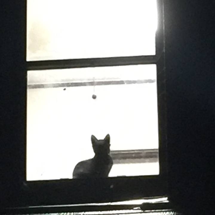 43926905 f37a 4b83 89e0 d7c24a10bfd9