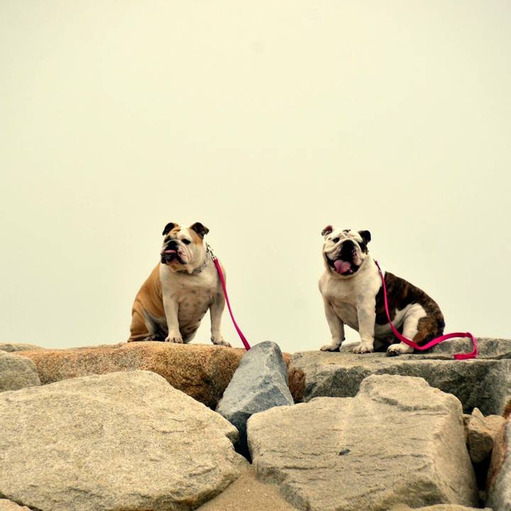 4392aca2 cc62 412d 80a2 3e45ba88cc23